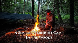 SOLO OVERNIGHT CAMP in the Woods  Relaxed  Lightweight Gear [upl. by Della]