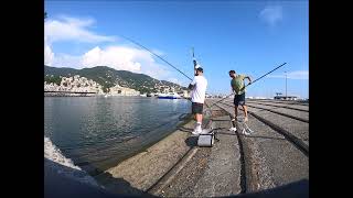 Ligurian Fishing Adventures  SPECIALE BOLOGNESE  Trailer 2 [upl. by Norah]