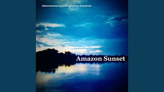 Amazon Sunset 2 [upl. by Lemart]