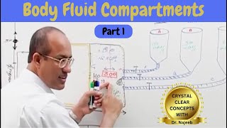 Body Fluid Compartments  IV Fluids  Types amp Uses Part 1🩺 [upl. by Leuqar]