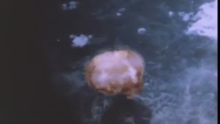 Rare footage of Nagasaki atomic bombing [upl. by Naitirb167]