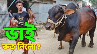 Bhai Koto Nilo Paragram Hozrotpur Gorur Haat 2022  Part 30  Qurbani Cow Price in Bangladesh [upl. by Gannie504]