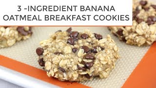 3INGREDIENT BANANA OATMEAL BREAKFAST COOKIES [upl. by Lennej]