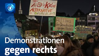 Protestwelle gegen Rechtsextremismus [upl. by Ecilef]