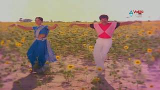 Kondaveeti Raja Songs  Naa Koka Babgunda  Chiranjeevi Radha [upl. by Fredrika]