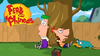 YTP Collab Ferb and Phineas [upl. by Haeckel290]