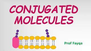 WHAT ARE CONJUGATED MOLECULES Easy Explanation [upl. by Whyte]