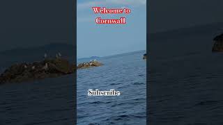 Welcome to Cornwall [upl. by Laeahcim]