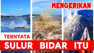 Terpecahkan Misteri Makhluk Sulur Bidar [upl. by Alrahs86]