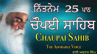 Chaupai Sahib 25 Path Full  Vol 149  Chaupai Sahib Nitnem  Path Chaupai  Bhai Avtar Singh [upl. by Eugatnom]