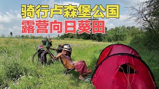 骑行欧洲遨游卢森堡大公国，露营在乡下的向日葵田，景色美如画！ [upl. by Euqirrne]