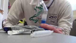 How to Prepare Albuterol and use it in a Nebulizer [upl. by Carmela558]