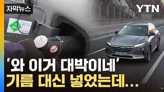 자막뉴스 한국 전세계 시장 이끄나…혁신 기술 국산화 성공  YTN [upl. by Lechar769]