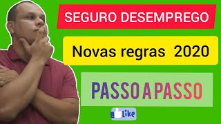 SEGURO DESEMPREGO 2020 PASSO A PASSO  WELLINGTON RIBEIRO [upl. by Rap]