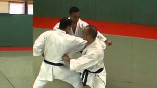 7 Enpi Kata Kumite Bunkai Didier Lupo [upl. by Nnanaej448]