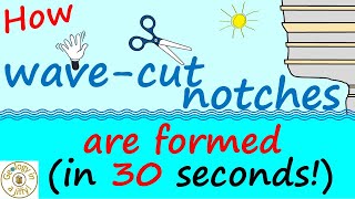 Wave cut notches  explained in 30 seconds [upl. by Onil443]