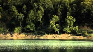 Video documentario quotAlla scoperta del Parco nazionale Appennino lucanoquot [upl. by Ahseka]