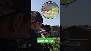 Hunting for food  Powerful Airgun  FX Crown MK2  Best Airguns in the world  FX Airguns hunting [upl. by Nortad]