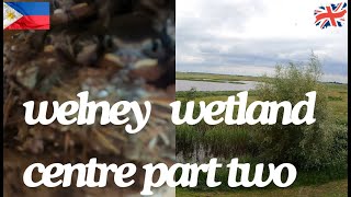 MY WHEELCHAIR ADVNTURE in WELNEY WETLAND CENTRE PART TWO [upl. by Annorah]