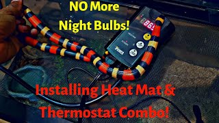 How to Install a Heat Mat amp Thermostat Combo for my Pueblan milk snake [upl. by Arezzini]