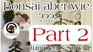 Wie mache ich ein Bonsai  2 JUNIPERUS CHINENSIS STRICTA BLAUER KEGELMOOSWACHOLDER Bonsai 5722 [upl. by Ahsym126]