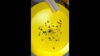 🐢🐢 Motion Black Marbles Haba Funnel Jungle Marble Run ASMR chrome oddlysatisfying fyp 🦄🦄 [upl. by Melac]