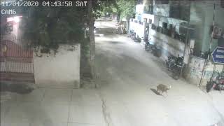 Bike thefts in Chennai CC Camera Footage [upl. by Gromme]