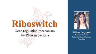 Riboswitch – Gene regulation mechanism by RNA in a bacteria for CSIRNET [upl. by Ardnaet]