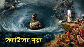 ফেরাউনের শেষ পরিনতি  মুসা নবী ও ফেরাউনের কাহিনী  ইসলামিক কাহিনী  OUR ISLAM [upl. by Trebleht]