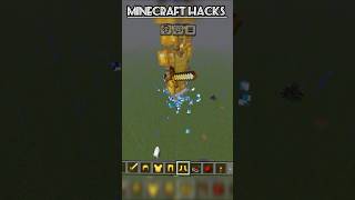 Minecraft Hacks ⭐💪✴️ gaming  short [upl. by Lednik]