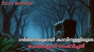 ഗർഭിണിയുമായി കാവിനുള്ളിലൂടെ പോയപ്പോൾ സംഭവിച്ചത് prethaanubavam prethakathakal horrorstories [upl. by Ylrebmi]