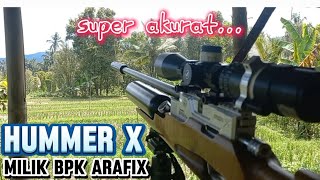 HUMMER X POLYMAX A12 LHYPER X 14 GR ACURACY 1000 FPS ENTENG MAIN 100 UP MILIK BPK ARAFIK [upl. by Rahcir56]