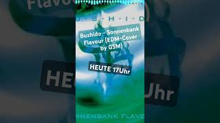 SEID DABEI BEI DER PREMIERE MEINES EDMCOVERS VON SONNENBANK FLAVOUR  HEUTE 17UHR [upl. by Hanonew466]