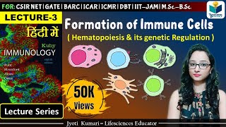 Immunology Formation of Immune Cells  Lecture3 [upl. by Anomer]