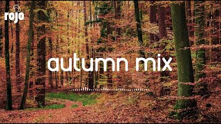 Study Focus Lofi Autumn Music Mix 📚 Chill Lofi Mix chill lofi hip hop beats [upl. by Edva]