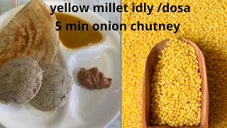 Whole millet idly dosa recipeThinai idly dosa Glutenfree idly with 5 min onion chutney recipe [upl. by Ahsyia]