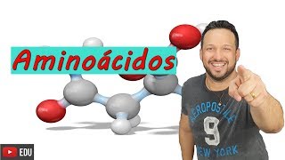 Aminoácidos  Ligações peptídicas  Bioquímica  Compostos orgânicos  Biologia com o tubarão [upl. by Wurst456]