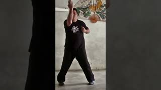 Hong Kong Siu Nim Tau parte 4 shorts wingchun martialarts kungfubrasil [upl. by Combes612]