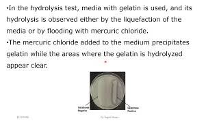 Gelatinase hydrolysis Test [upl. by Liebermann772]