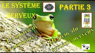 Le système nerveux  partie 3  La motricité involontaire et hygiène du système nerveux [upl. by Ididn]