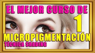 tutorial cejas perfectas curso micropigmentación cejas tutorial shading 🚀Técnica polvo sombreado [upl. by Holcman]