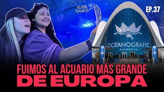 VSEPI37 Fuimos al acuario más gran de Europa [upl. by Kiker209]