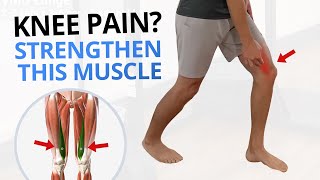 4 Quadriceps VMO Strengthening Exercises for Painful Knees [upl. by Vel]