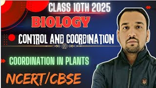 Control and Coordination  Coordination in plants  Class 10 Biology Chapter 6 [upl. by Atiuqihs680]