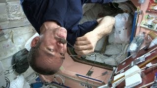 Astronaut Chris Hadfield and Chef David Chang Test Gourmet Space Food [upl. by Ithaman621]