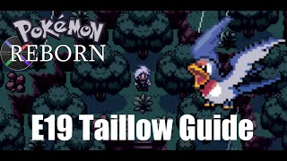 Pokemon Reborn E19How to Get Taillow [upl. by Marcela684]