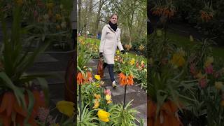 Keukenhof in den Niederlanden [upl. by Clementina14]