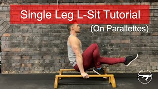 How To Do A Single Leg LSit On Parallettes  Supported LSit Progression Exercises [upl. by Yevoc]