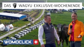 MORELO meets Wagyu Rückblick auf das exklusive Treffen in Oberdachstetten [upl. by Nakada20]