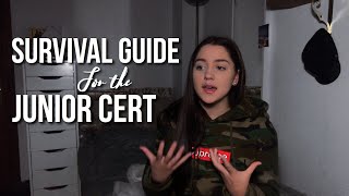 How to Study for the Junior Cert amp Leaving Cert [upl. by Nnel900]